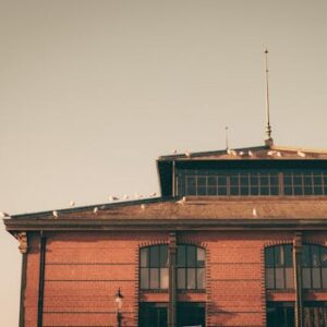 Historic building in Hamburg adorned with seagulls, capturing urban charm and architectural elegance.