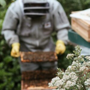 A beekeeper in protective gear inspecting a beehive in a lush garden setting.